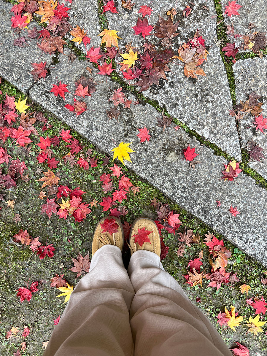 So comfort is key but I also want to actually like how they look
