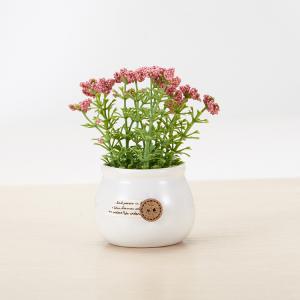 Artificial Gypsophila Flower Arrangements for Wedding Party Home Decoration Bouquet