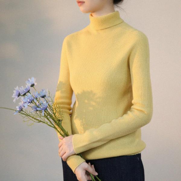 Basic Style Wool Sweater Winter Turtleneck Pastel Sweater