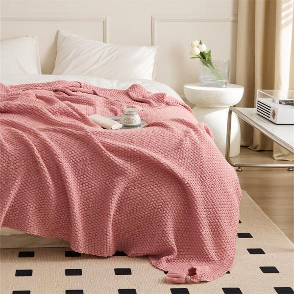 Minimalist Chic Plain Tassel Blanket Casual Office Throw