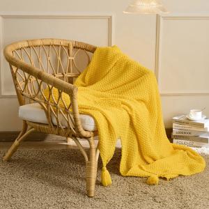 Minimalist Chic Plain Tassel Blanket Casual Office Throw