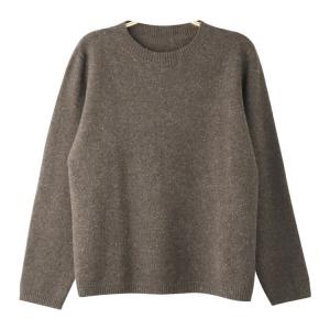 Casual Crew Neck Sheep Wool Sweater for Women