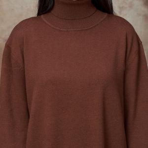 Winter Loose Minimalist Turtleneck Dress