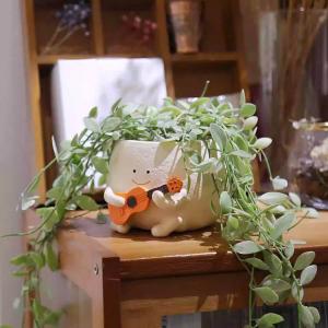Cute Smiley Face Guitar Planter Pots Gift for Indoor Plants